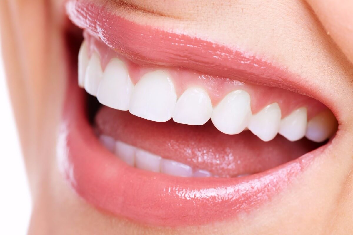 Unidad Médica WTC DENTAL
